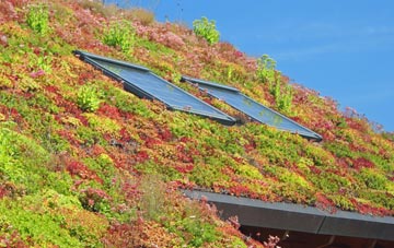 Broad Layings living roof systems