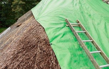 maintaining Broad Layings thatch