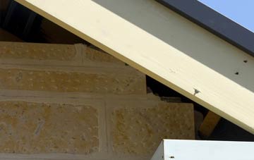 soffit repair Broad Layings