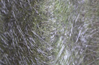 Broad Layings fibreglass roof work